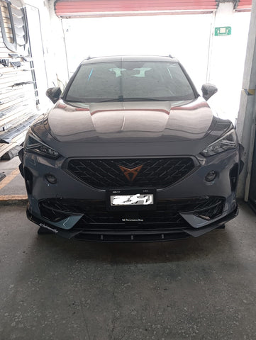 lip deportivo cupra formentor