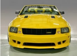 facia delantera ford mustang tipo saleen 05-09