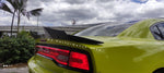 Aleron Duckbill Dodge Charger 2005-2013